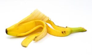 Buccia di banana interrata vicino a una rosa, simbolo di fertilizzante naturale e potassio.